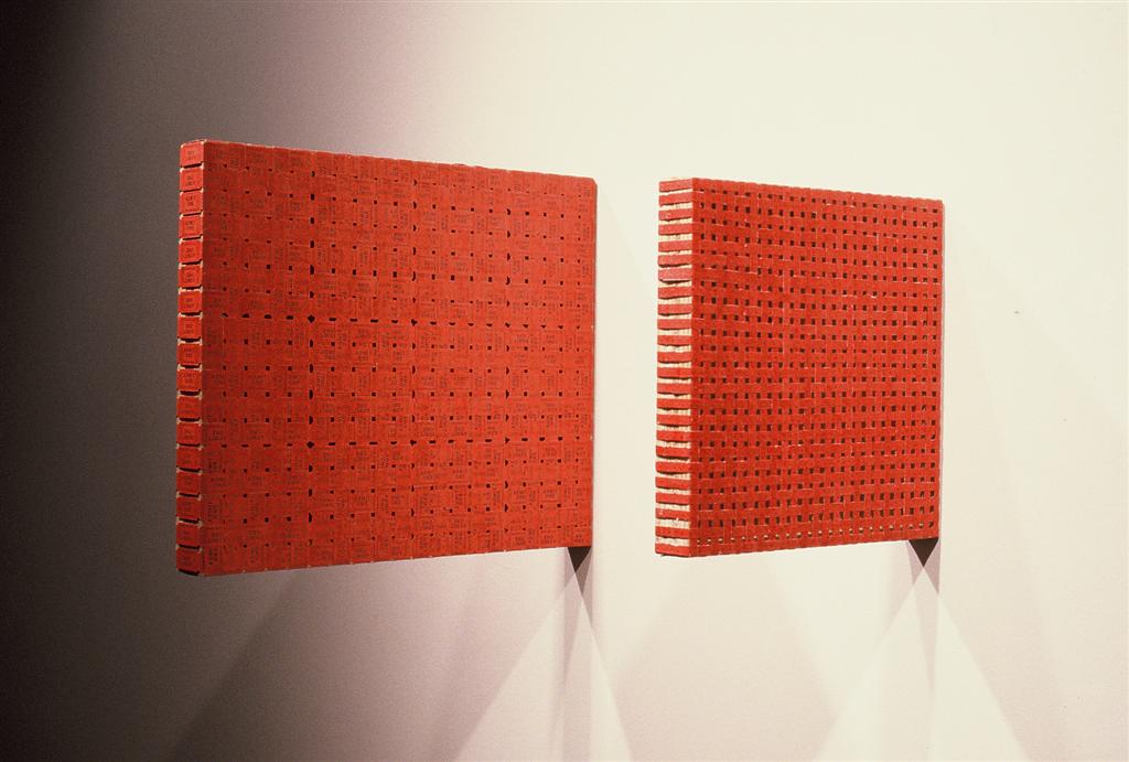 Gray
                    Matters Installation 1993